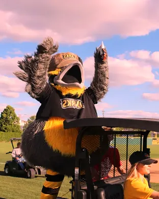 Bismarck Larks Duluth