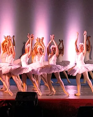 Swan Lake Duluth