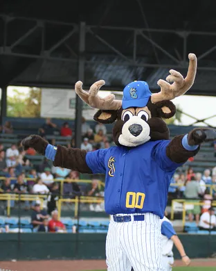 Waterloo Bucks Duluth