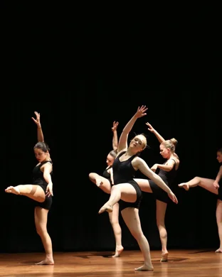 Riverdance 30 - The New Generation Duluth